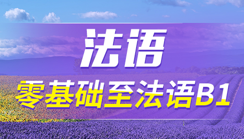 “吹毛求疵” 用法語怎么說？